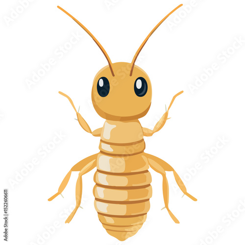 termite, insect, animal, vector, transparent background, creature, isoptera, isolated, pest, nature, wildlife, ant