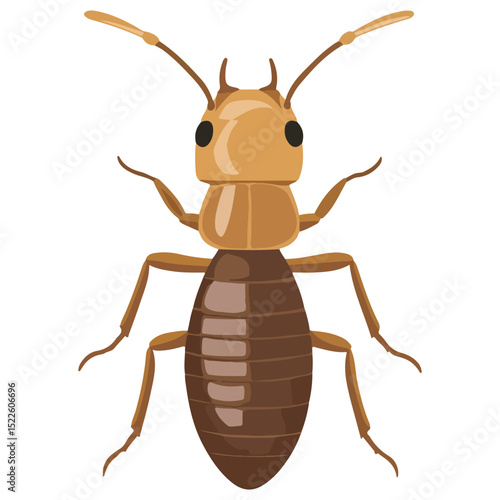 termite, insect, animal, vector, transparent background, creature, isoptera, isolated, pest, nature, wildlife, ant