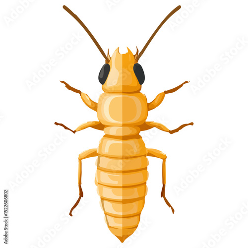 termite, insect, animal, vector, transparent background, creature, isoptera, isolated, pest, nature, wildlife, ant