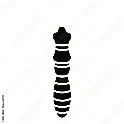 termite, insect, animal, vector, transparent background, creature, isoptera, isolated, pest, nature, wildlife, ant