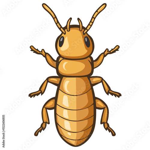 termite, insect, animal, vector, transparent background, creature, isoptera, isolated, pest, nature, wildlife, ant