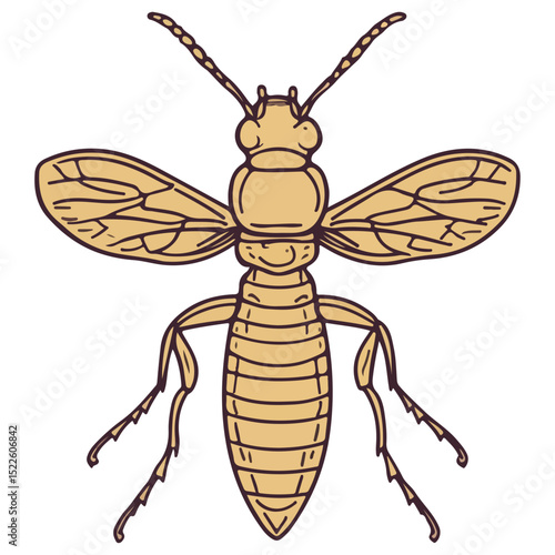 termite, insect, animal, vector, transparent background, creature, isoptera, isolated, pest, nature, wildlife, ant