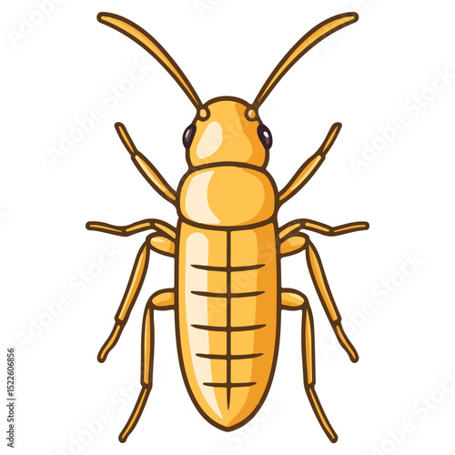 termite, insect, animal, vector, transparent background, creature, isoptera, isolated, pest, nature, wildlife, ant