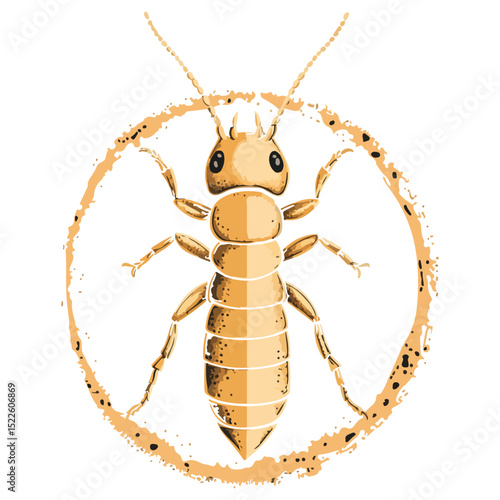 termite, insect, animal, vector, transparent background, creature, isoptera, isolated, pest, nature, wildlife, ant