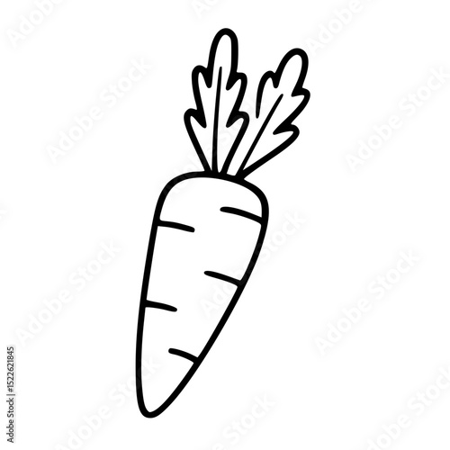 Outline carrot illustration