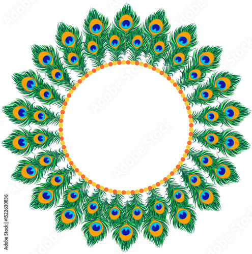 Peacock feather frame, krishna janmashtami frame vector illustration for decoration, festivals, banner
