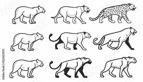 Line style icons of all big cats: lion, tiger, leopard, jaguar, snow leopard, cheetah, cougar, caracal, clouded leopard, lynx.