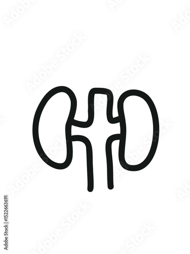 kidney icon – urology and diagnostics