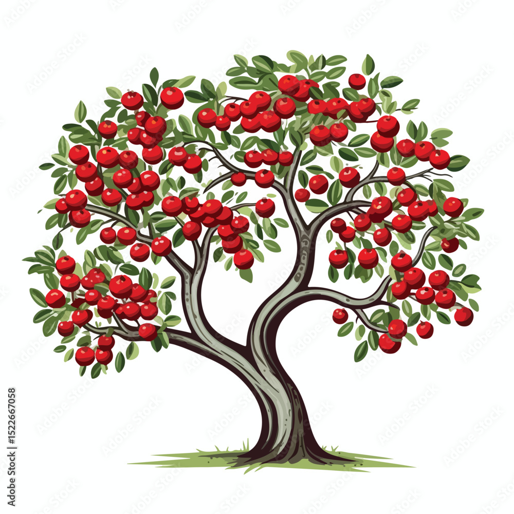 Fototapeta premium Lush Leavy Tree with Red Fruits Nature Icon Isolated in EPS Vector Format