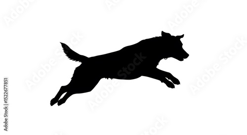 Leaping Dog Silhouette