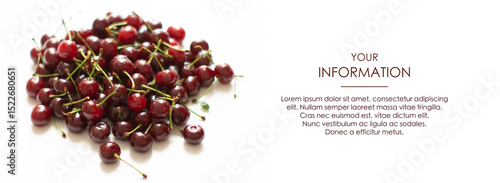 Black cherry. Pattern. Background. Isolation on white background. Advertising banner horizontal. Juicy berries. Space for your information. Template.