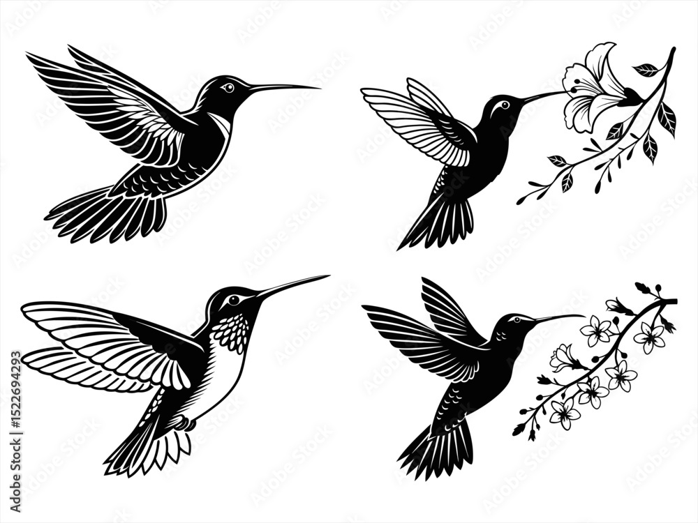 Obraz premium hummingbird-sihouette-blackvector bundle