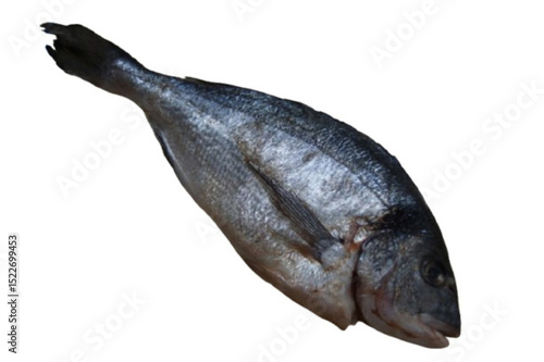A raw sea bream, fresh and ready to be cooked. Its pearly flesh and shiny skin reflect its quality and freshness.