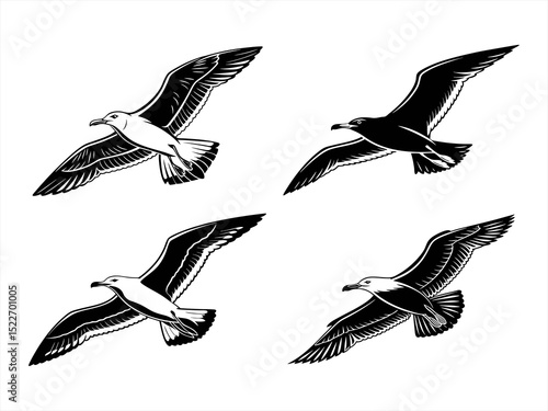 seagull sihouette black vector bundle
