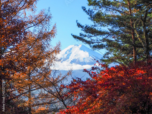 Autumn landscape with Mount Fuji and vibrant red maple leaves in full bloom
