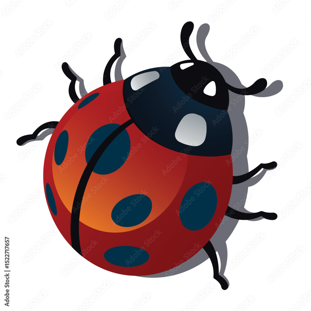 Stylized Vector Illustration of a Ladybug Stylized Vector Illustration of a Ladybug