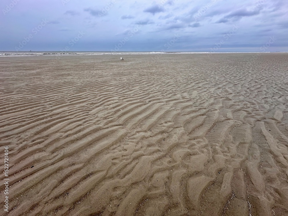 Fototapeta premium Wattenmeer Wangerooge