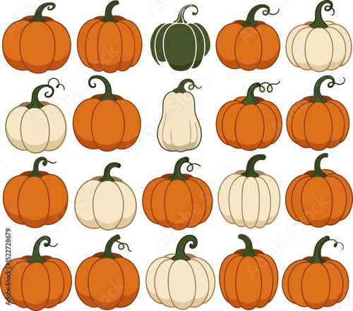 Delightful Autumn Pumpkins Collection featuring orange, white, and green gourds perfect for fall harvest designs and Thanksgiving decorations.