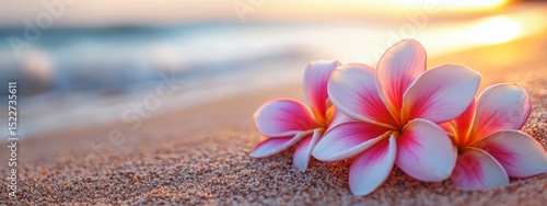 Plumeria flowers on the beach on the sand. selective focus. Generative AI,