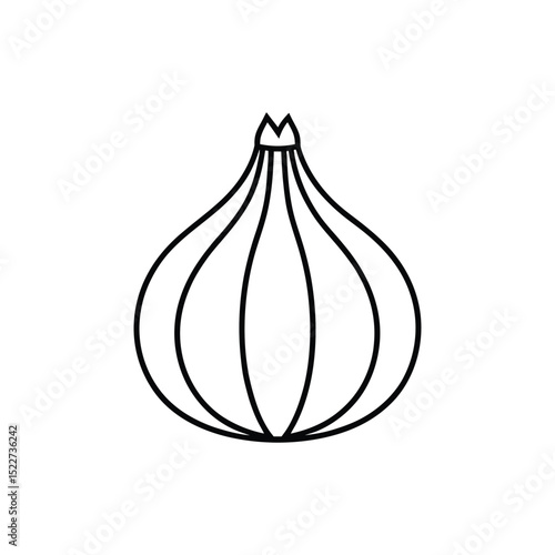 Garlic Bulb Outline Vector Illustration.