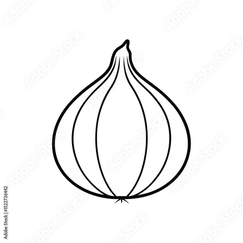 Hand Drawn Onion Line Art Design.