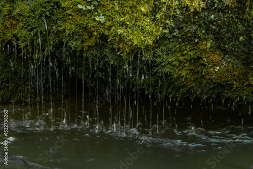 Moss and Water Streams