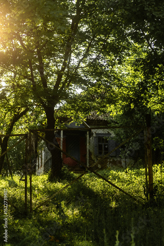 Forest Cabin with Sun Rays
