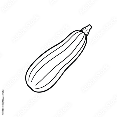 Zucchini Vegetable Line Art Drawing.