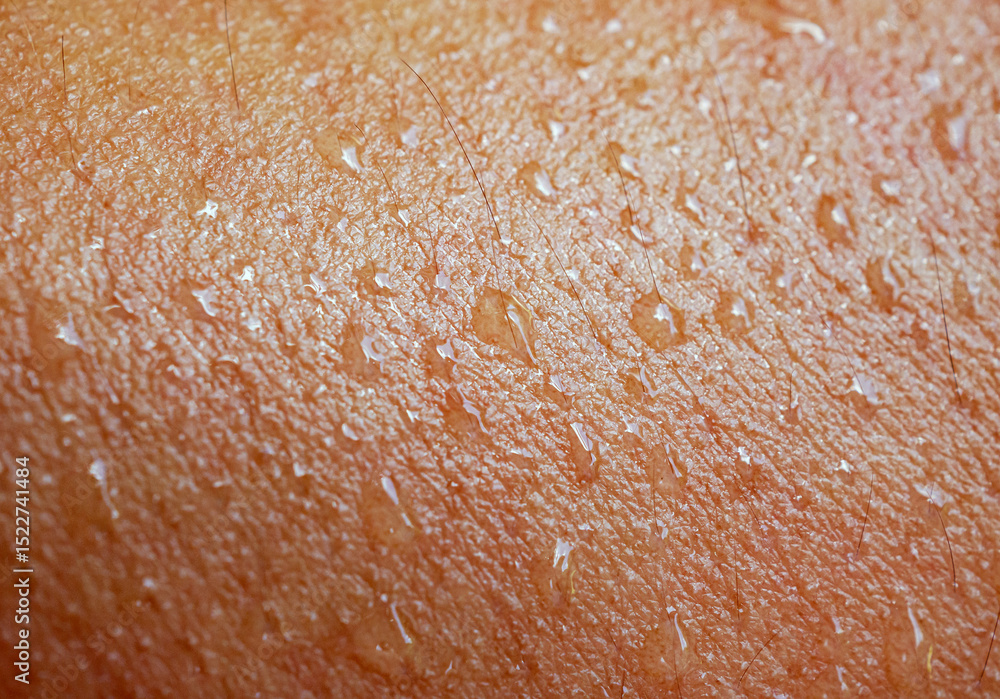 Fototapeta premium Skin, macro of water drops and texture or body of a person, armhair human and sweat with droplets
