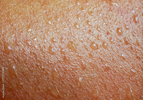 Skin, macro of water drops and texture or body of a person, armhair human and sweat with droplets