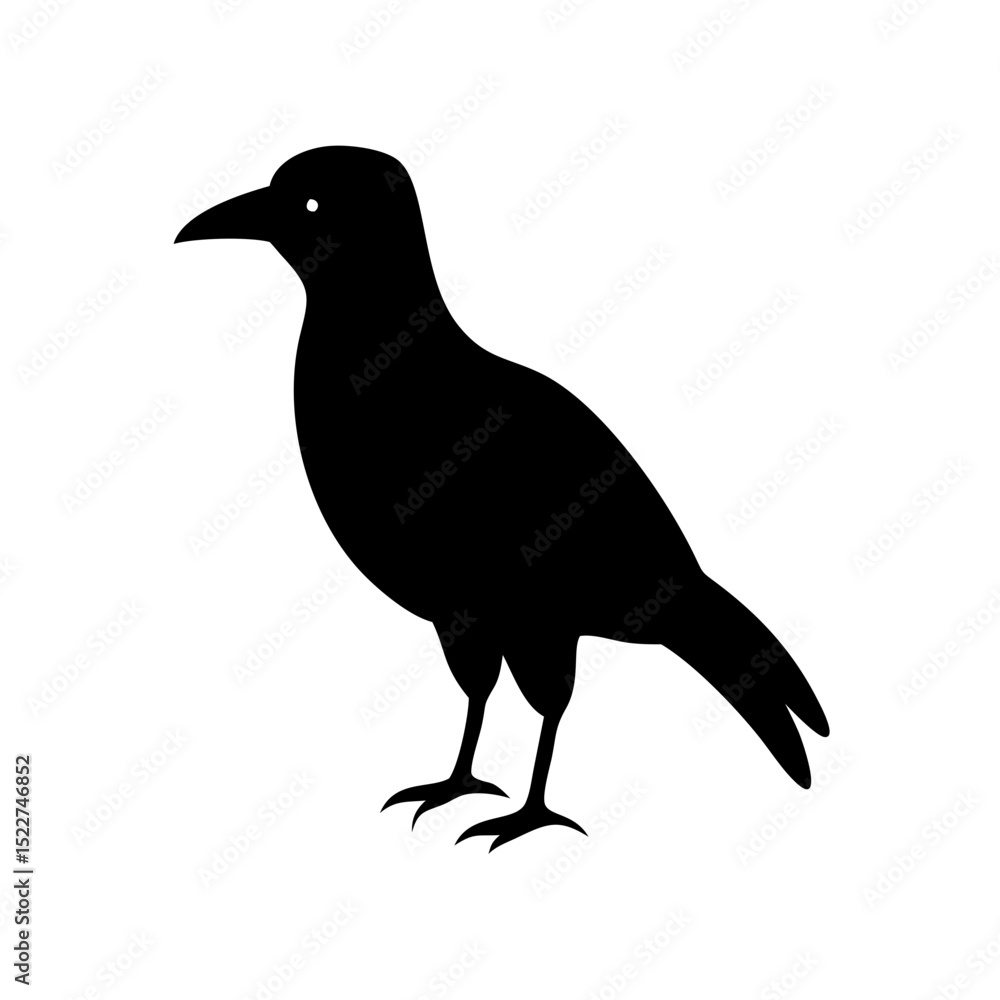 Black silhouette of a bird standing on white background Black silhouette of a bird standing on white background