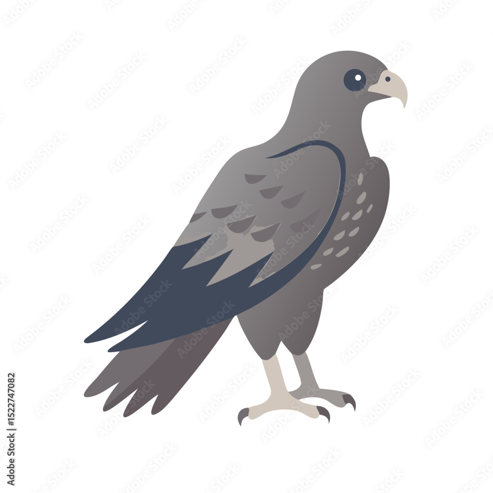 Fototapeta premium Falcon illustration in gray tones with detailed features