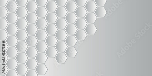 modern hexagon background. Hexagonal relief on a white wall. hexagon geometric pattern