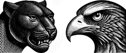 Art deco animal illustrations featuring stylized panther and eagle engraving for design use