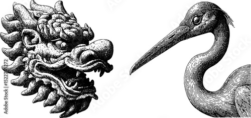 Engraved illustrations of asian dragon sculpture and crane for decorative design