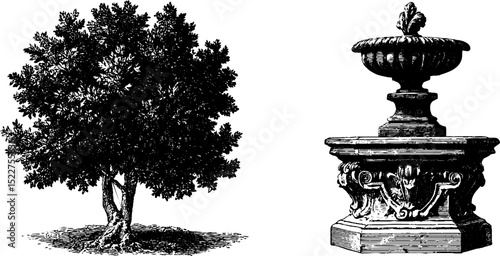 Ornamental baroque design elements: engraved tree and decorative pedestal illustration