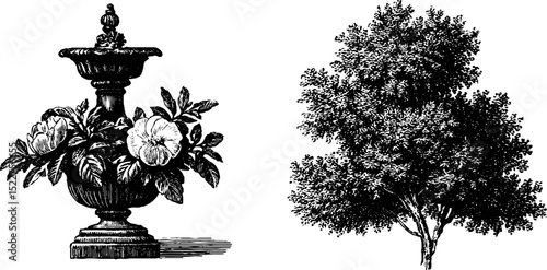 Ornate chippendale engraved illustrations set featuring decorative vase and tree