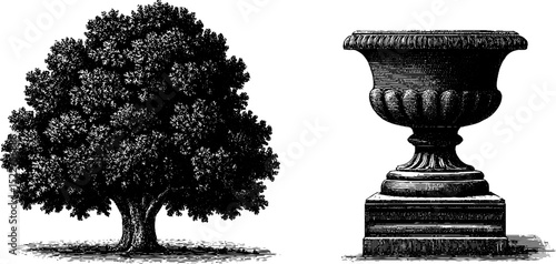 Colonial revival elements: engraved tree and decorative urn for design and print