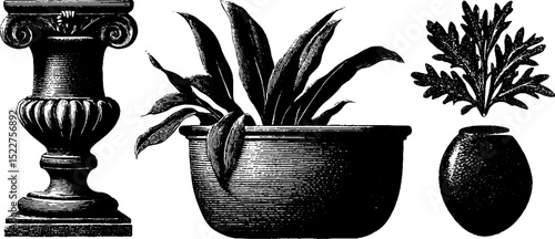 Colonial revival inspired engravings of decorative vases and foliage for artistic design