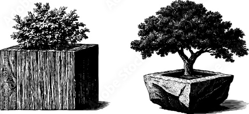 Vintage engraved illustration of craftsman wooden planters with trees