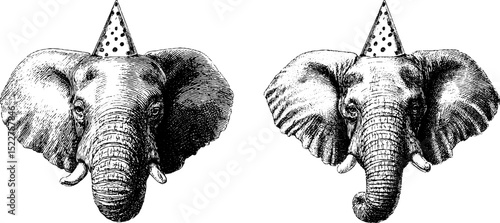 Engraved elephant with party hat set for celebration design and decor