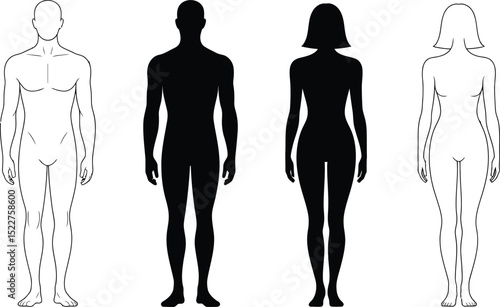 Human silhouettes representing diversity and individuality isolated on transparent background