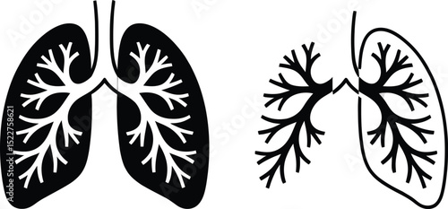 Human lungs anatomy medical icon silhouette and outline isolated on transparent background


