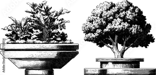 Engraved art of futuristic abstract planters with lush foliage and tree design