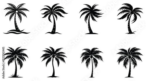 Pair of palm trees vector set with tropical silhouette and reflection variations