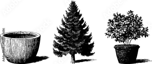 Vintage engraved illustration set of scandinavian wooden planters and trees for rustic decor design