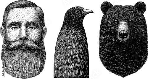 Vintage engraved illustration set featuring human, bird, and bear portraits
