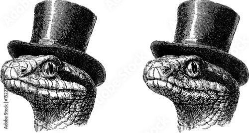 Engraved illustration of snake wearing top hat for design and decoration