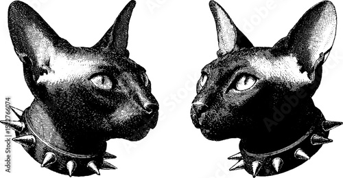 Engraved cat portraits with piercings and spiked collars for unique design