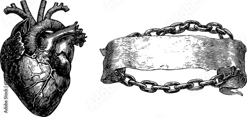 Engraved vintage anatomical heart and torn banner design for gothic art